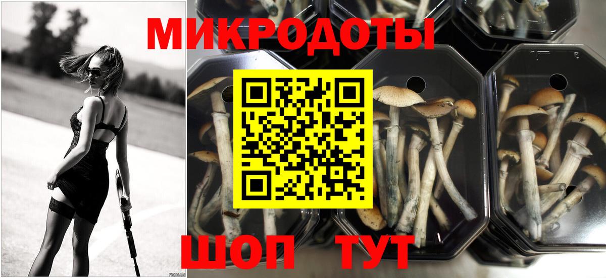 Псилоцибиновые грибы ЛСД  Вход с VPN  Новый Уренгой 