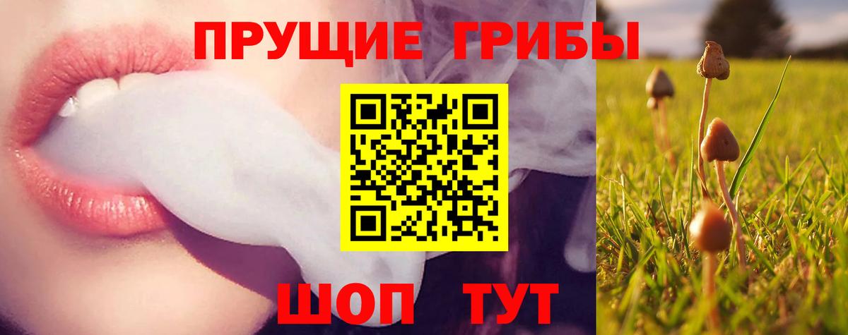 Галлюциногенные грибы мухоморы Новый Уренгой